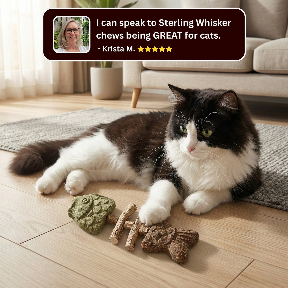 LAST DAY 50% OFF🎁 Catnip & Silvervine Chew