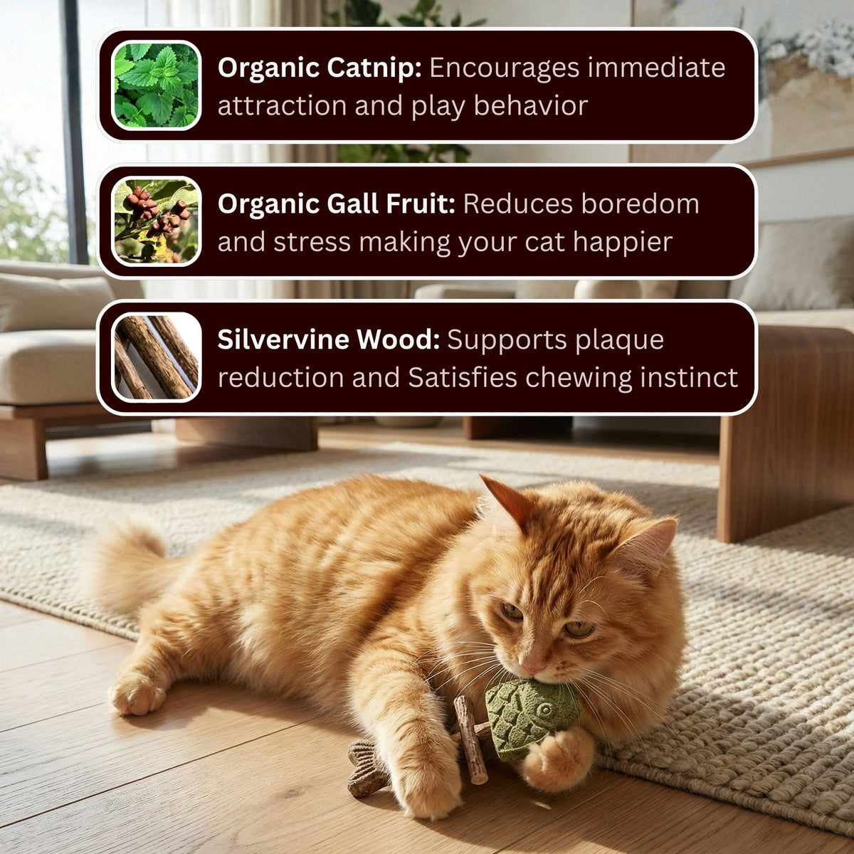 LAST DAY 50% OFF🎁 Catnip & Silvervine Chew