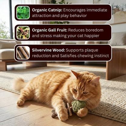LAST DAY 50% OFF🎁 Catnip & Silvervine Chew