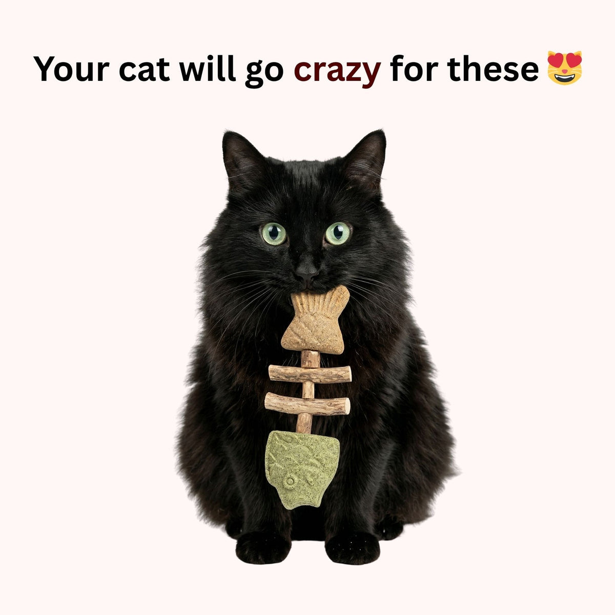 LAST DAY 50% OFF🎁 Catnip & Silvervine Chew